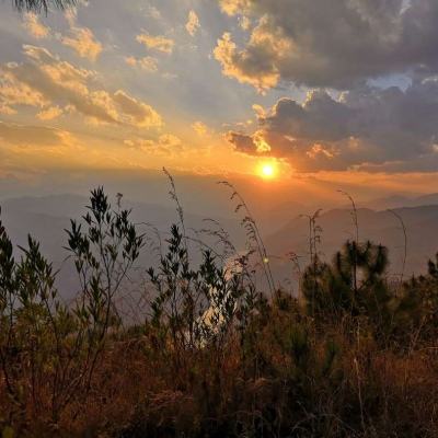 今期澳门三肖三码开一码下载手机版