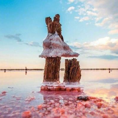 722cc大发彩神手机app下载